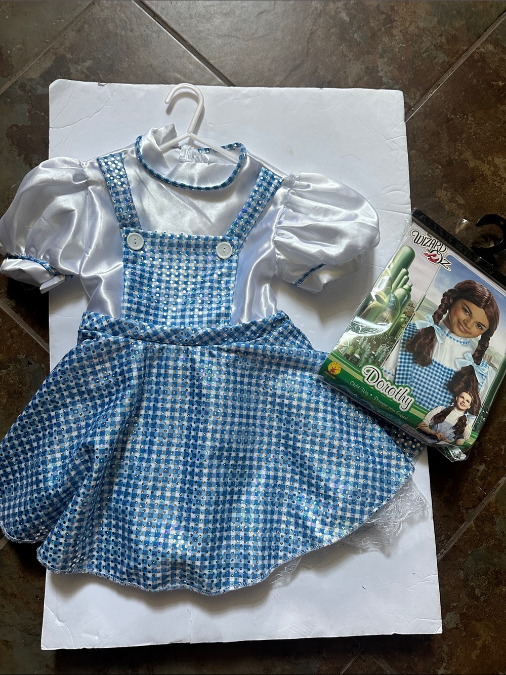 Dorothy Blue Check Girls' Costume And Wig